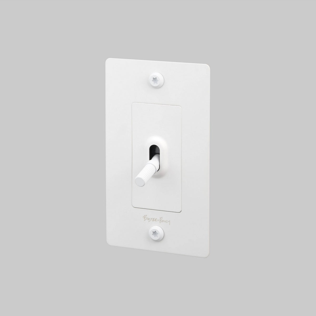 Light Switch in White