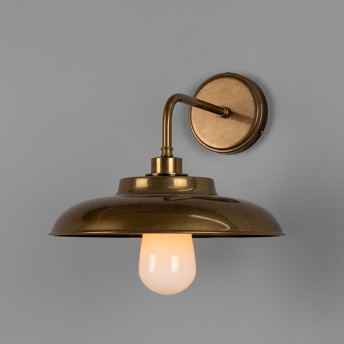 Darya One Light Wall Sconce