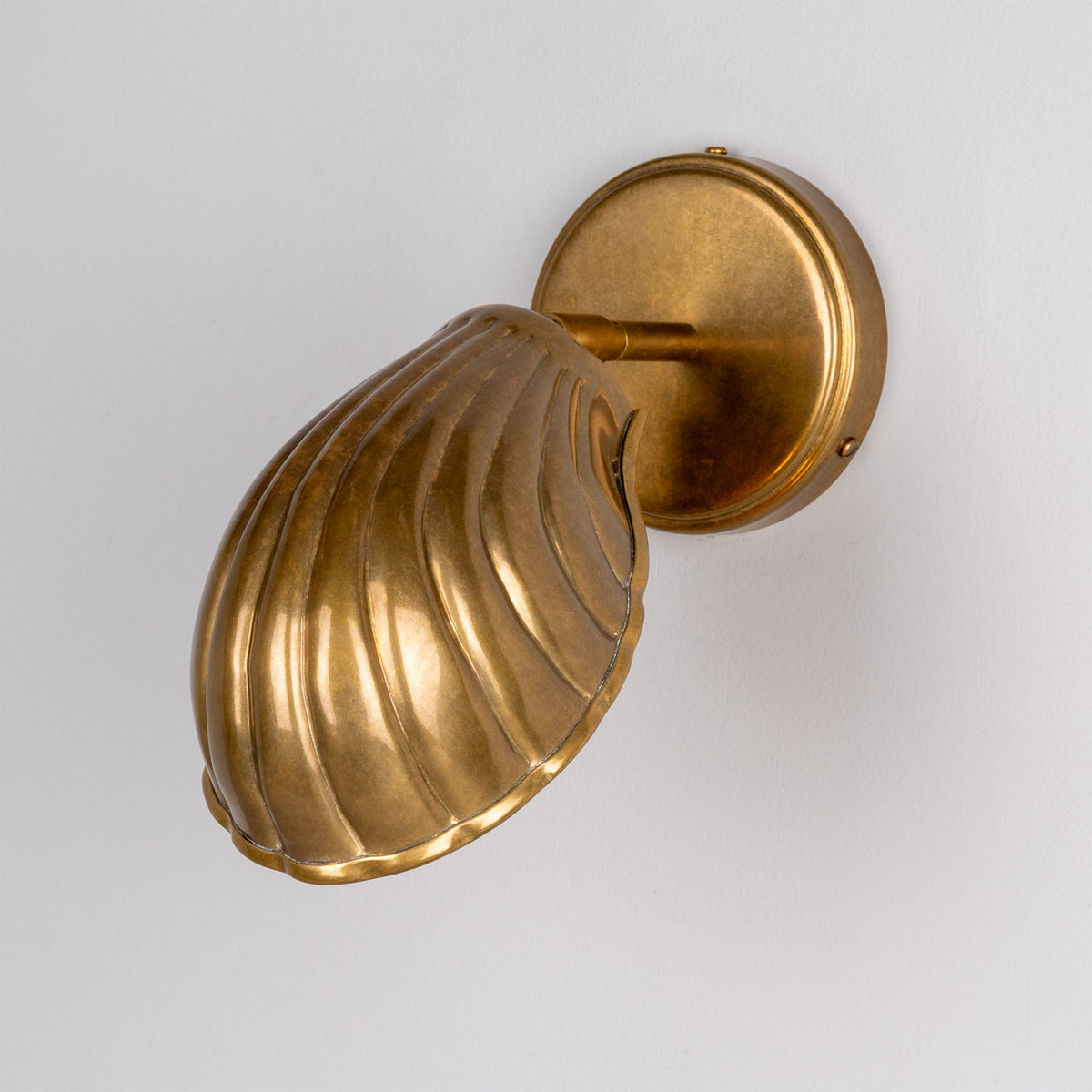 Shell One Light Wall Sconce in Adjustable