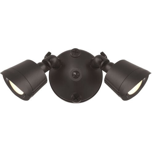 LED Double Flood Light