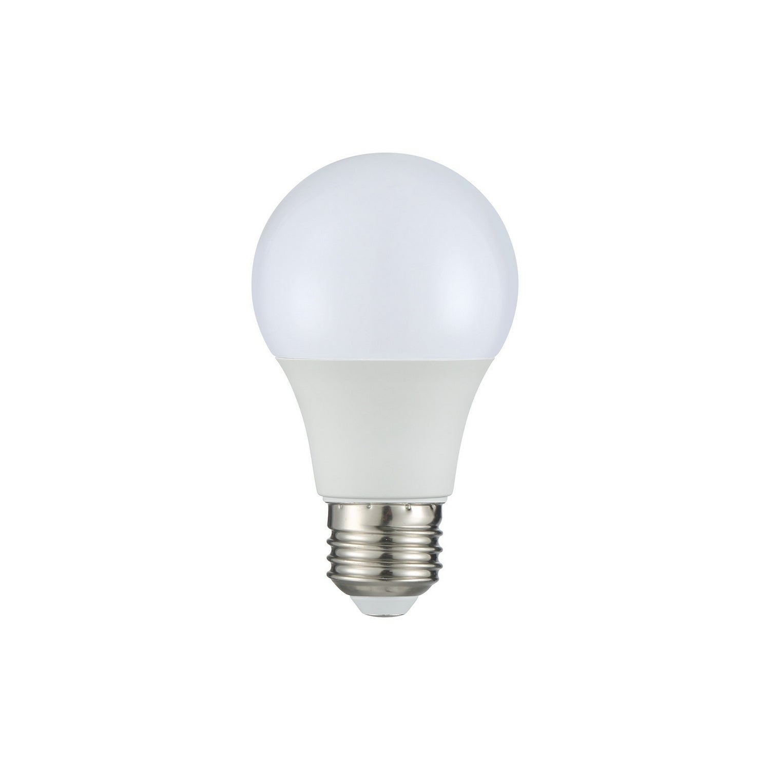 Light Bulb