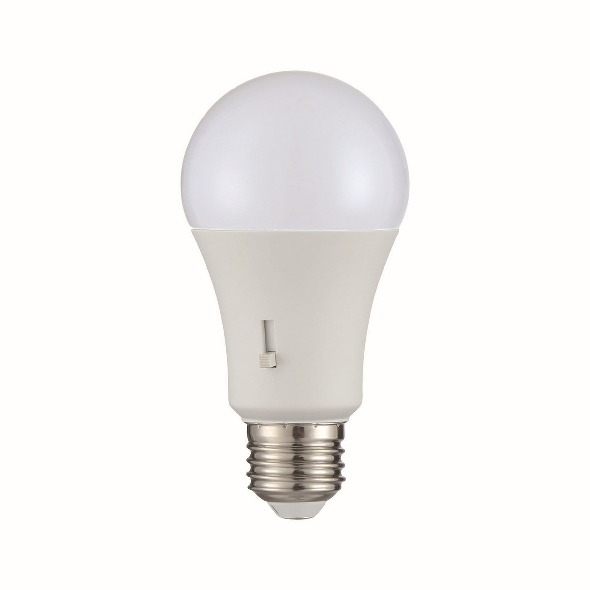 Light Bulb in Frost