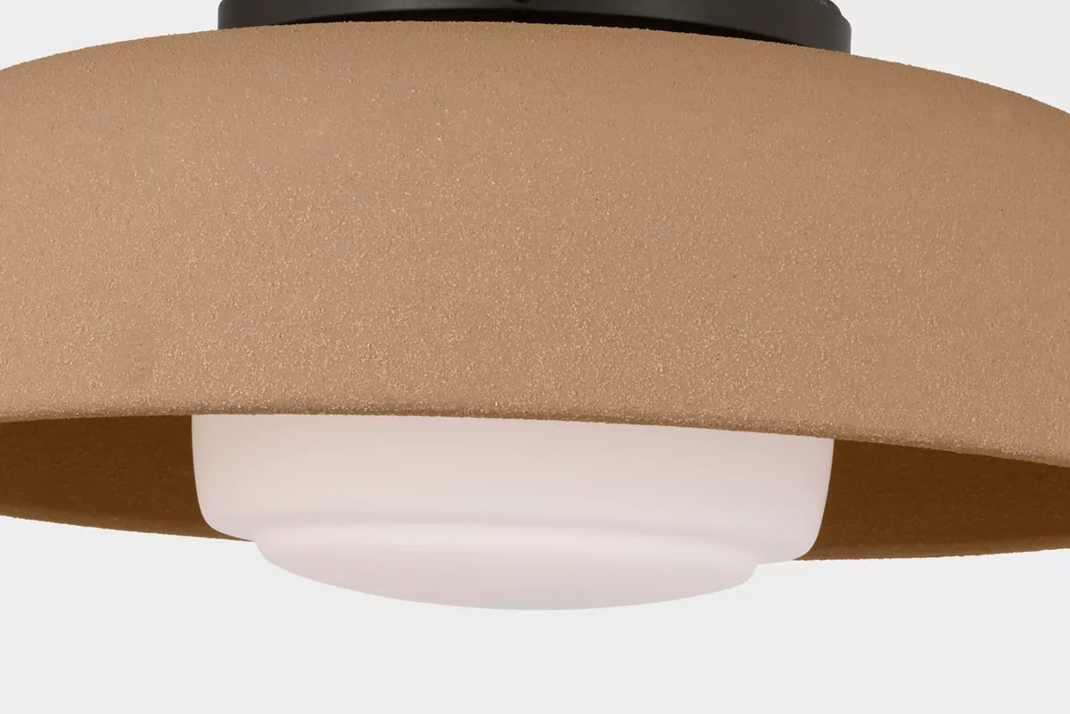 Liora One Light Flush Mount in Aged Iron
