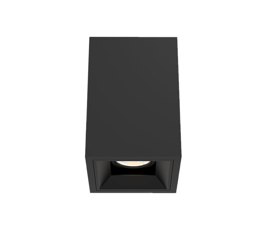 Bravo Flushmount