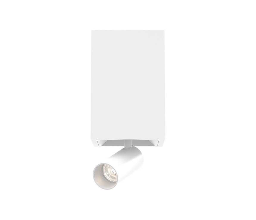 Bravo LED Flushmount in White