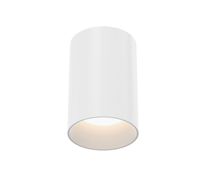 Whiskey LED Flushmount in White