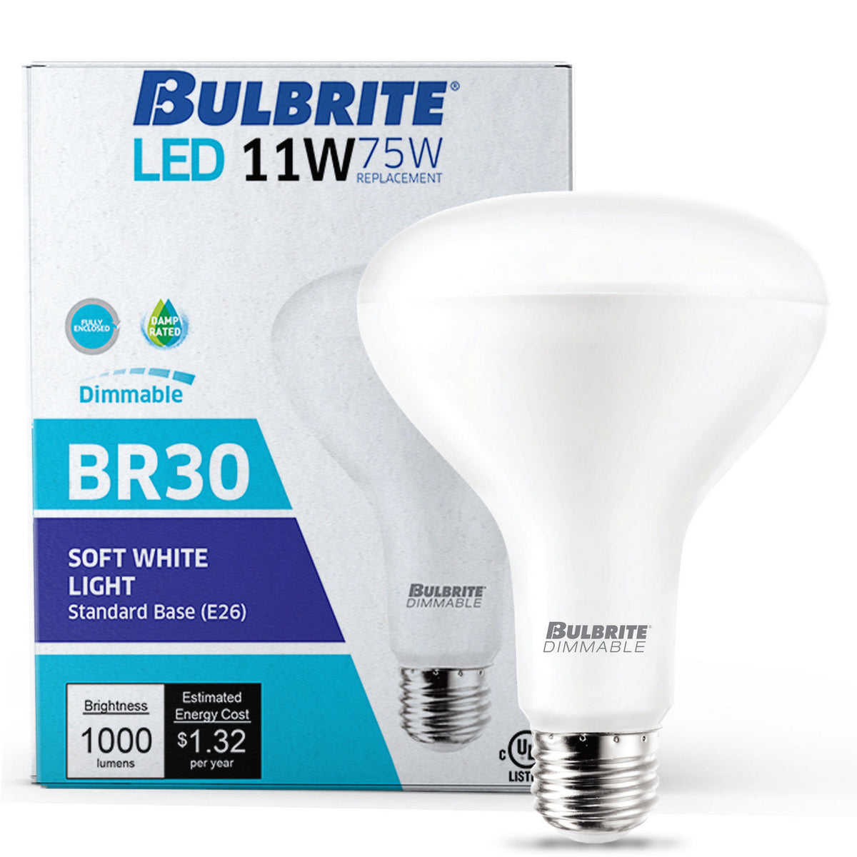 Light Bulb in Frost
