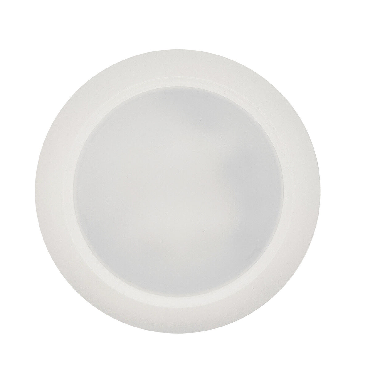10" Disc Light