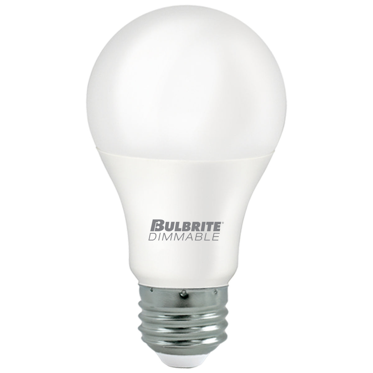 Light Bulb in Frost