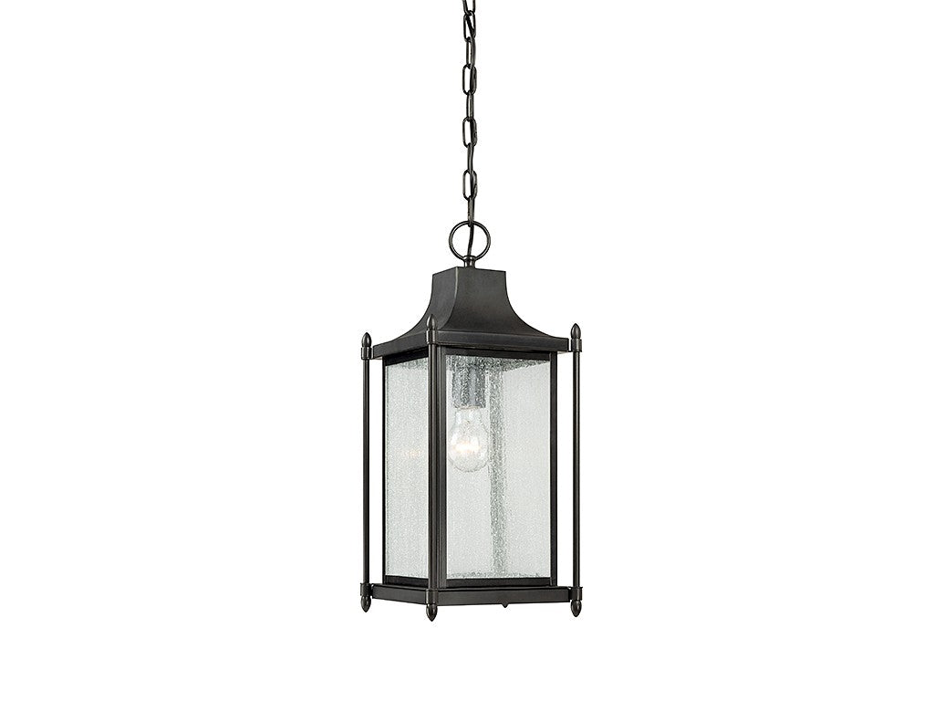 Dunnmore One Light Hanging Lantern in Black