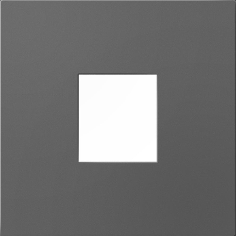 Adorne 1-Port Frame