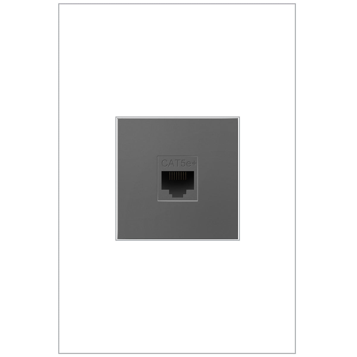 Adorne Cat 5e RJ45 Data/Phone Insert in Magnesium