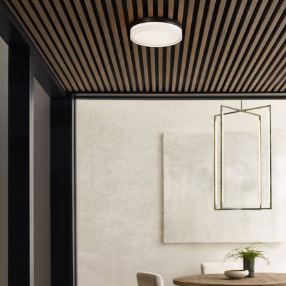 Cirque Large Outdoor Wall/Flush Mount