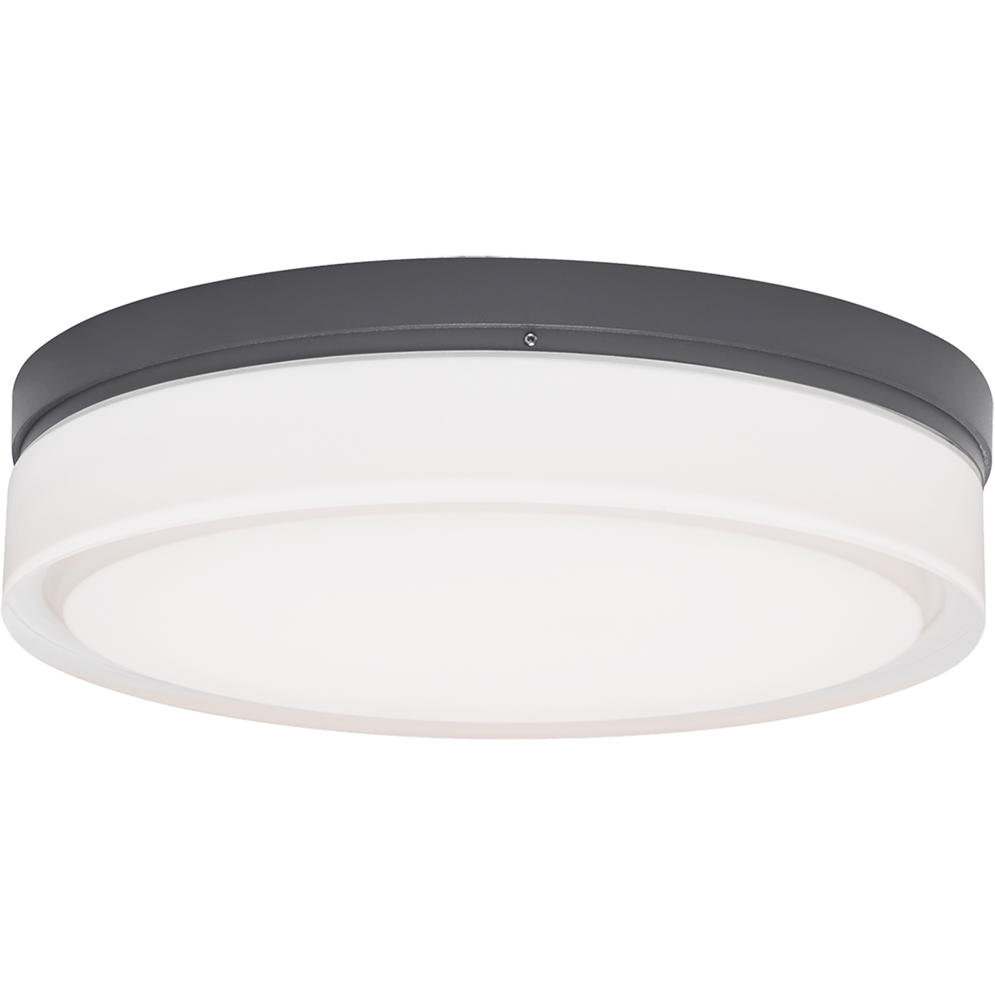 Cirque Large Outdoor Wall/Flush Mount
