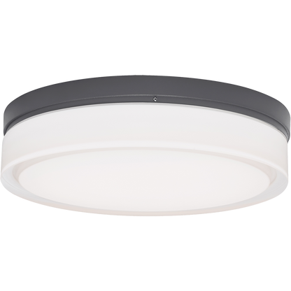 Cirque Large Outdoor Wall/Flush Mount