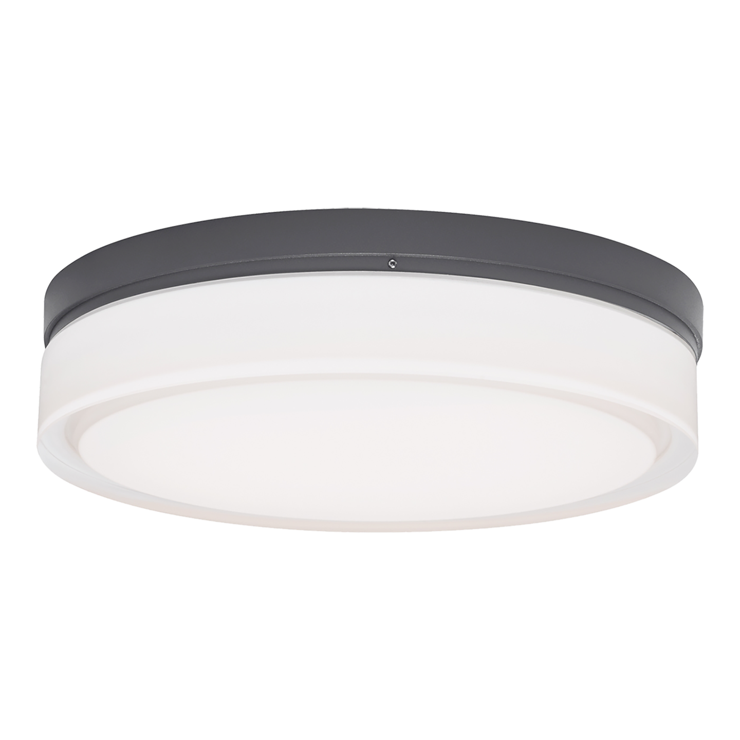 Cirque Small Outdoor Wall/Flush Mount