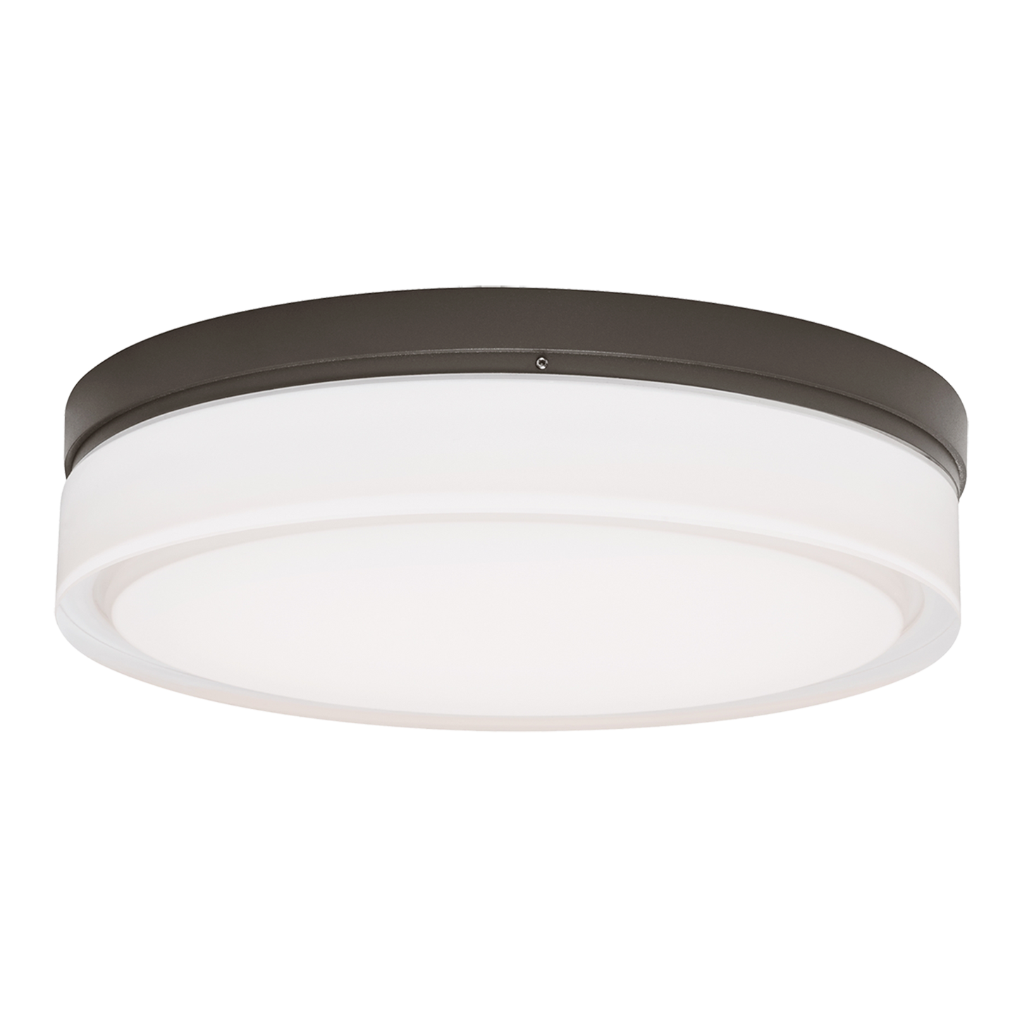 Cirque Small Outdoor Wall/Flush Mount