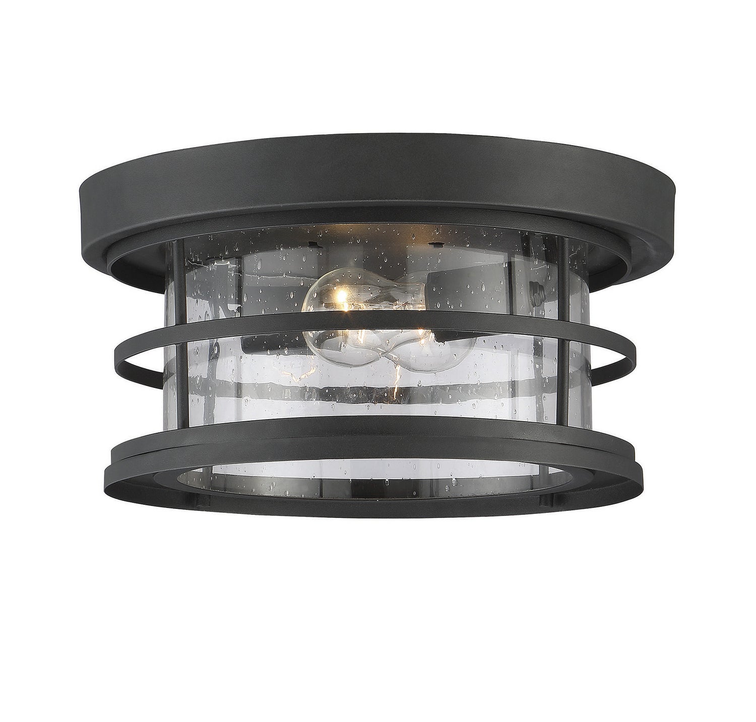 Barrett Two Light Flush Mount