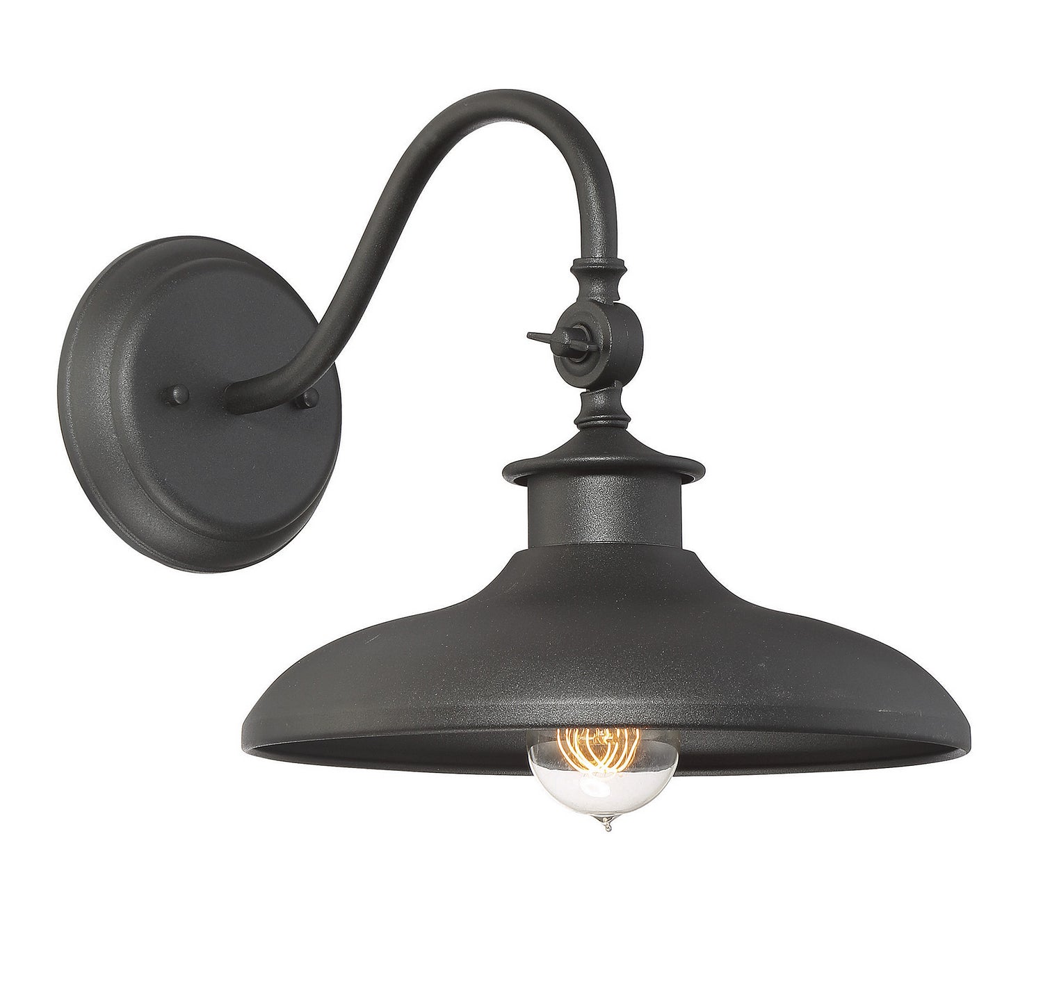 Raleigh One Light Wall Mount in Black