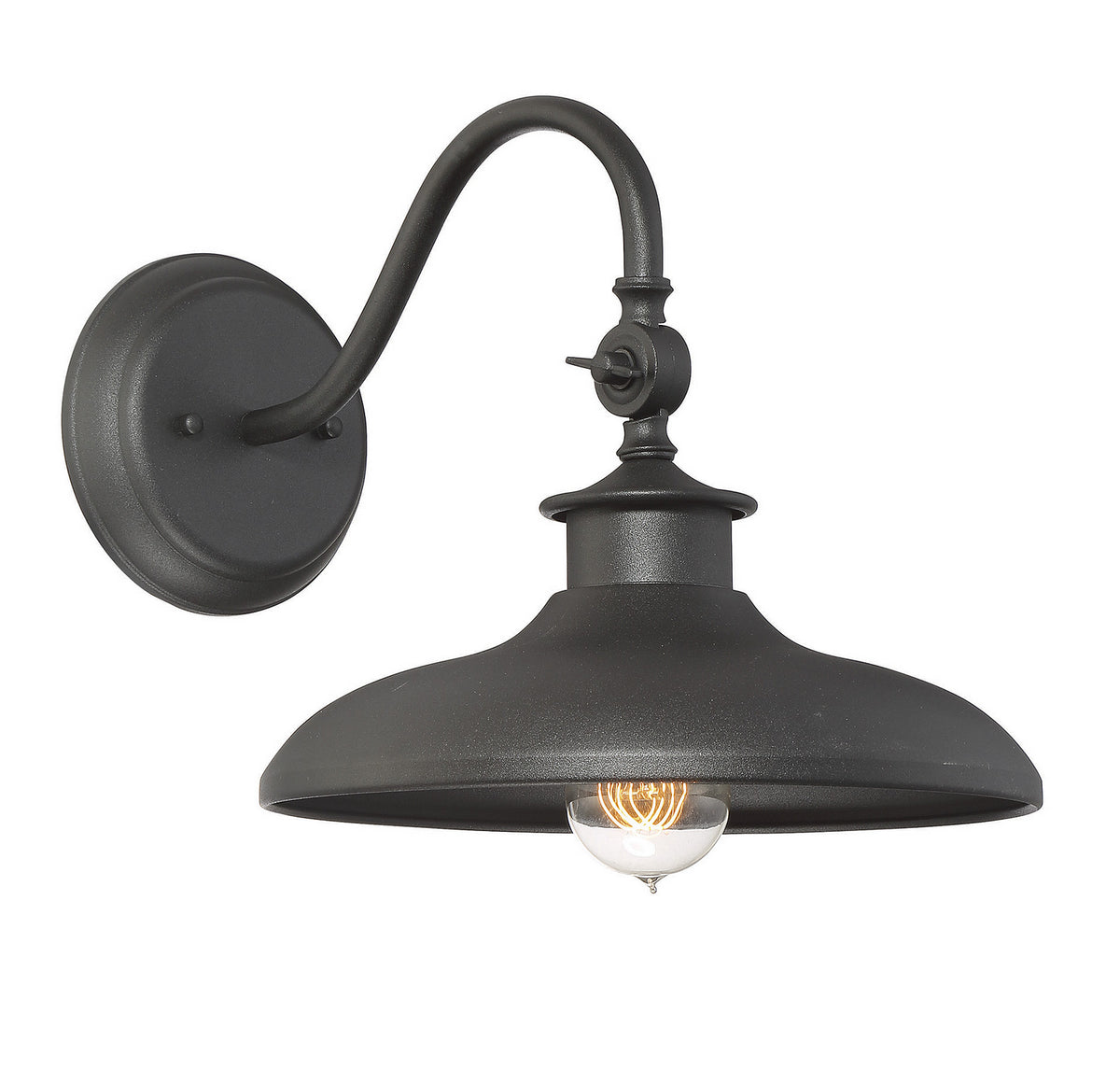 Raleigh One Light Wall Mount in Black