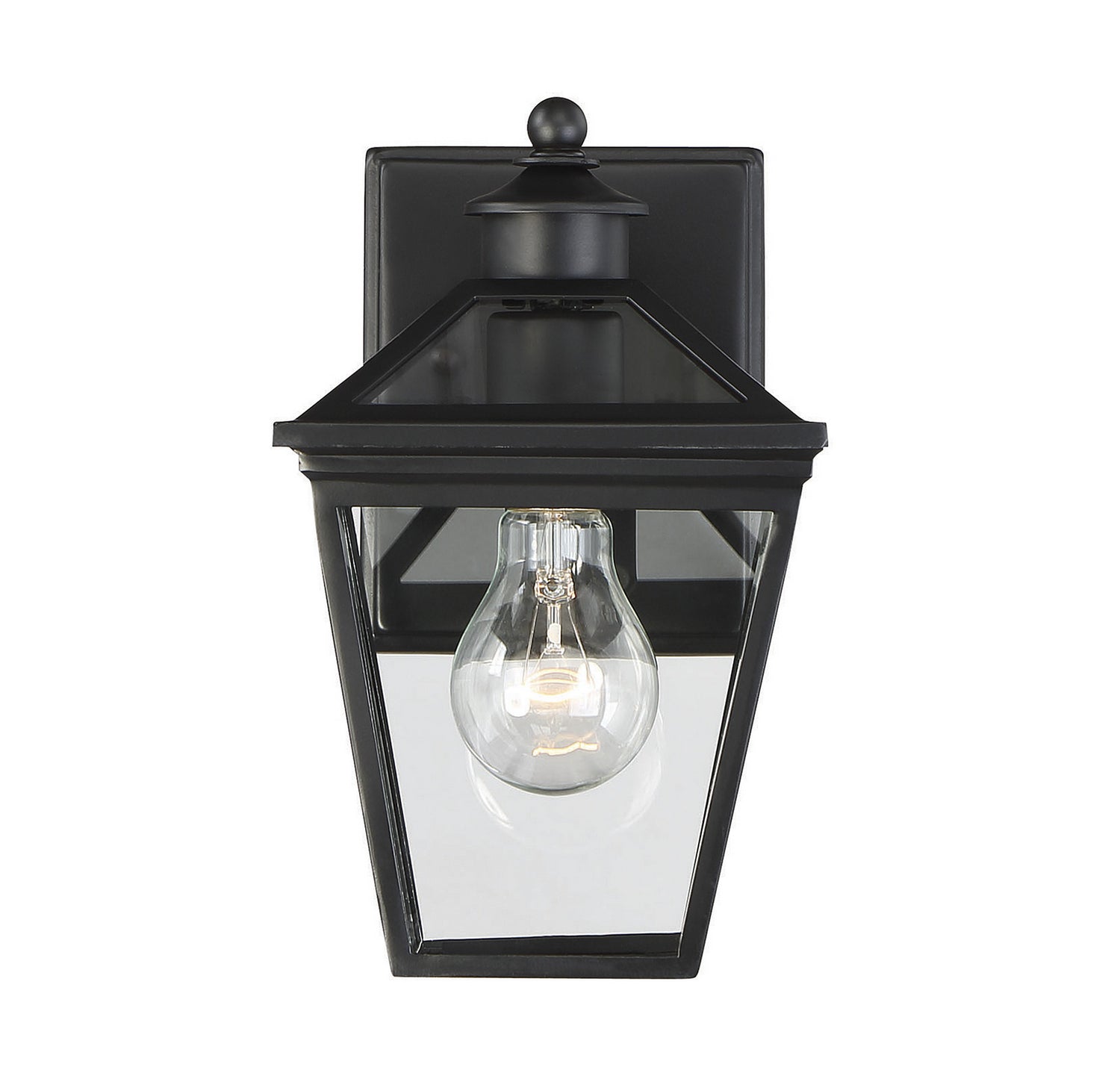Ellijay One Light Wall Mount in Black