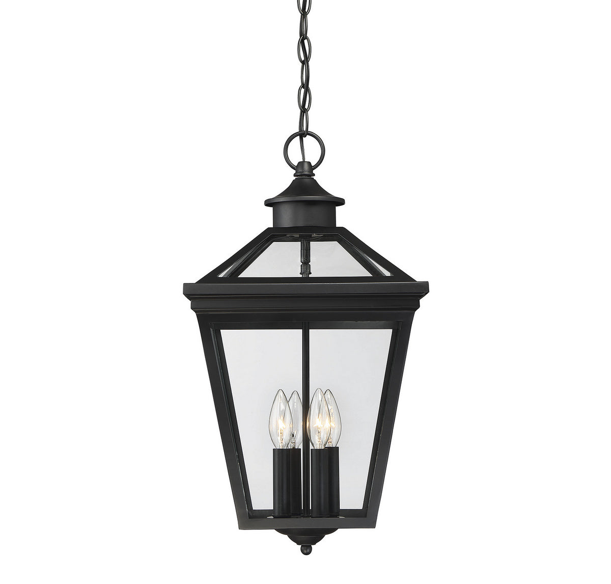 Ellijay Four Light Outdoor Hanging Lantern in Black
