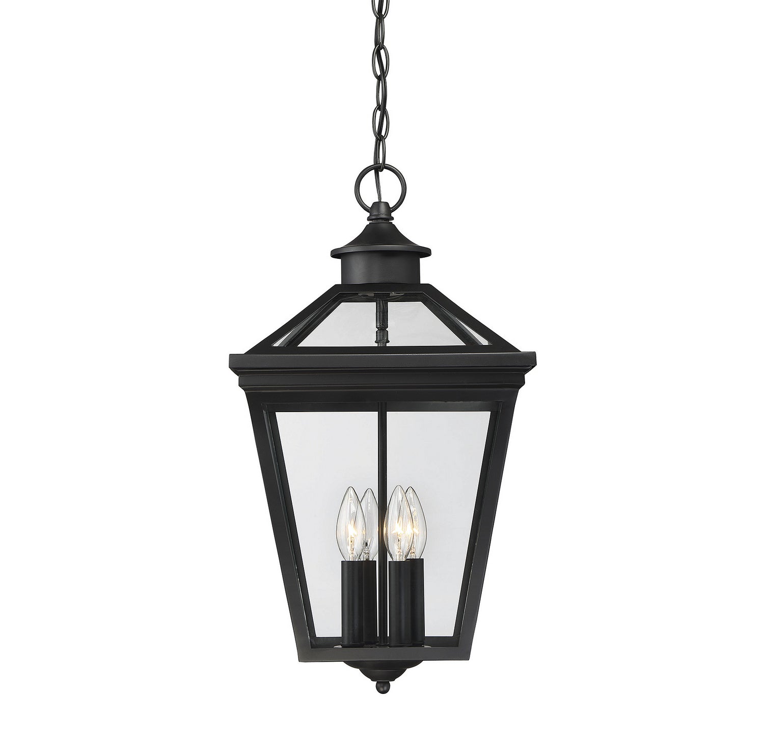 Ellijay Four Light Outdoor Hanging Lantern in Black