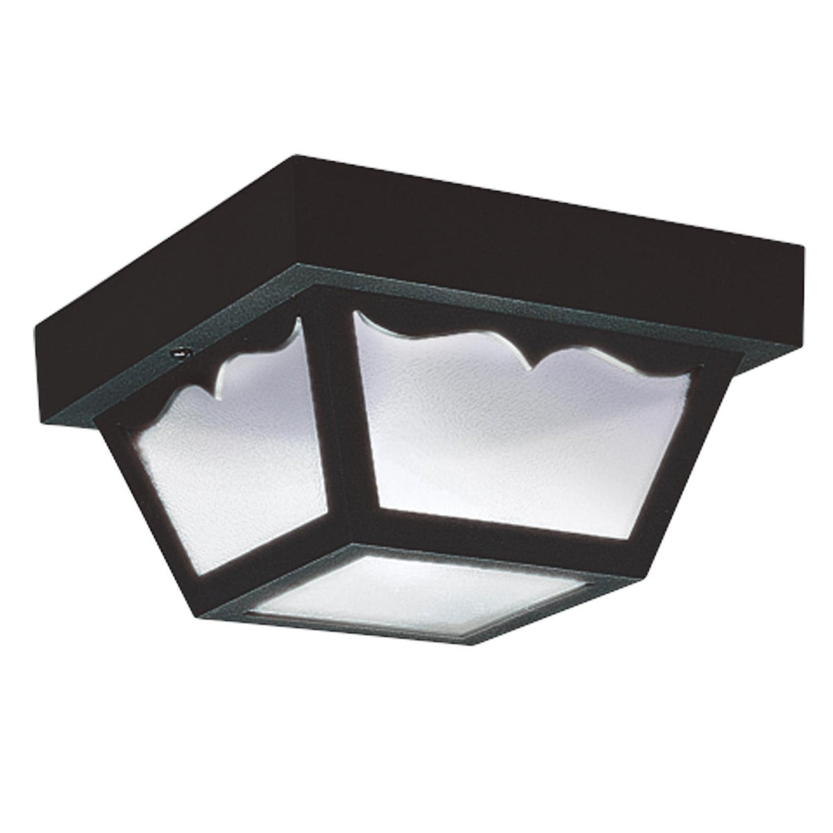 Outdoor Ceiling Two Light Outdoor Flush Mount