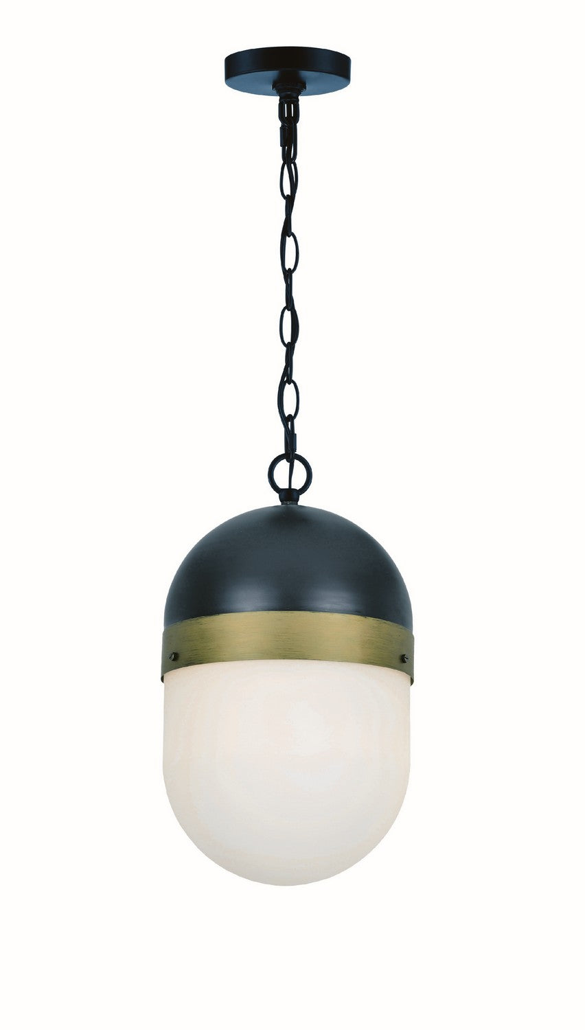 Capsule One Light Outdoor Pendant in Matte Black + Textured Gold