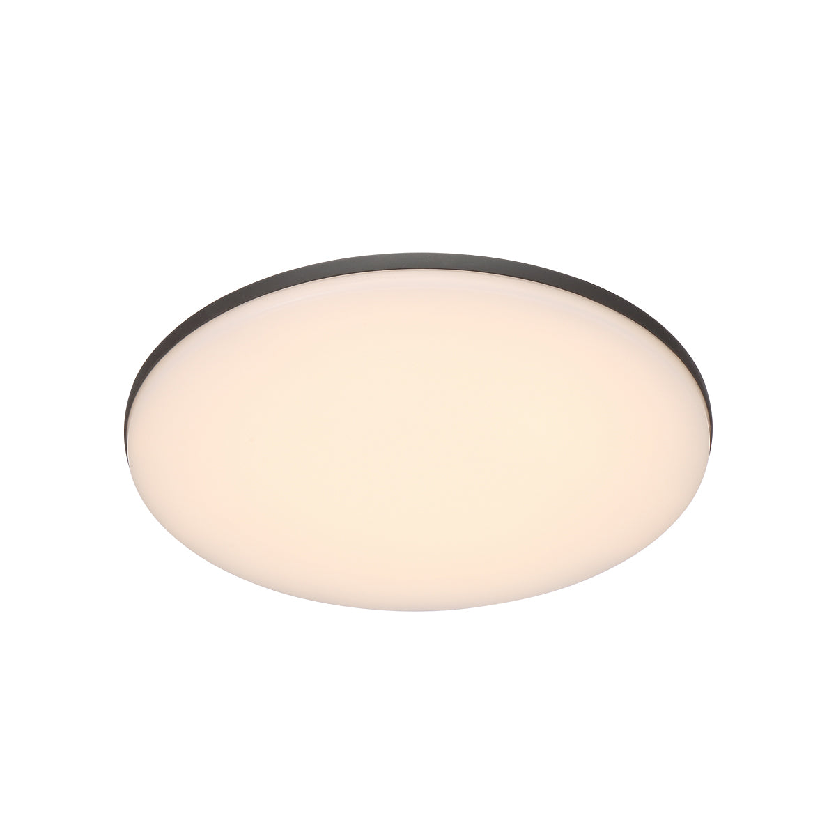 ABOVE OUTDR,LED SURFACE,RND,GRAPHITE in Graphite Grey