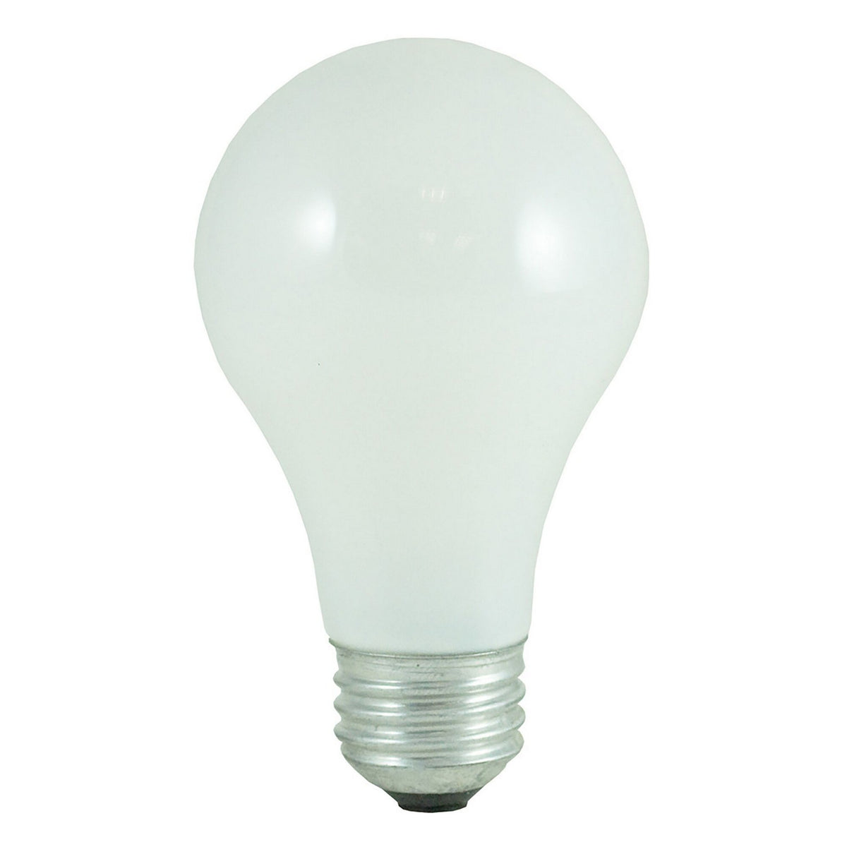 A-Type: Light Bulb in Frost