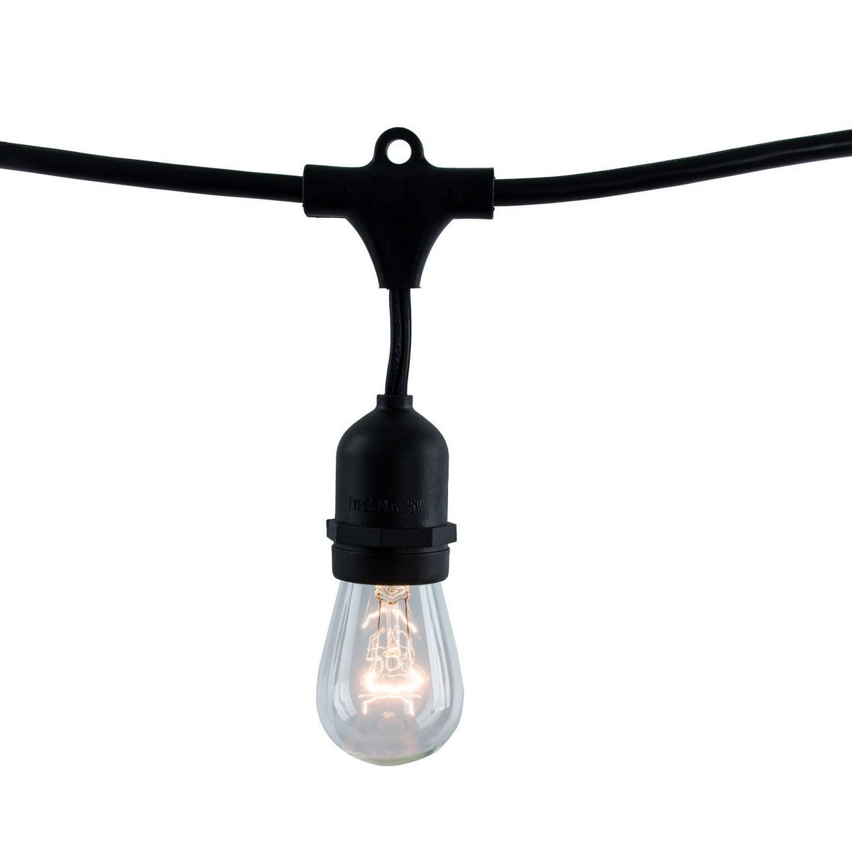 String Light in Black