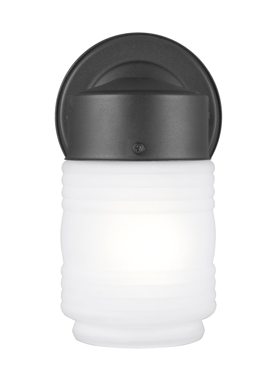 Outdoor Wall One Light Outdoor Wall Lantern in Black