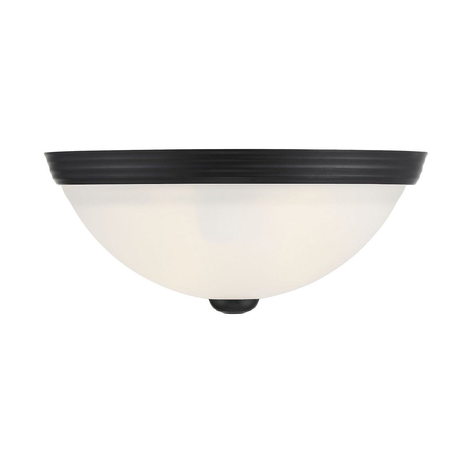 Flush mount Two Light Flush Mount in Matte Black