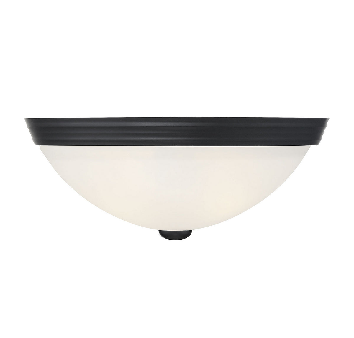 Flush Mount Two Light Flush Mount