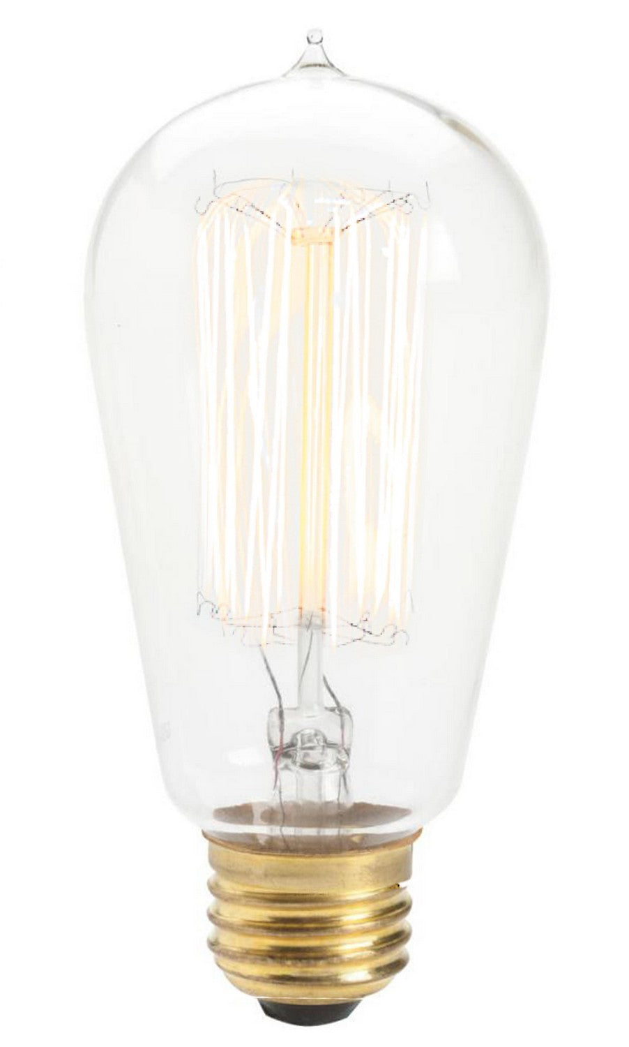 Edison Light Bulb