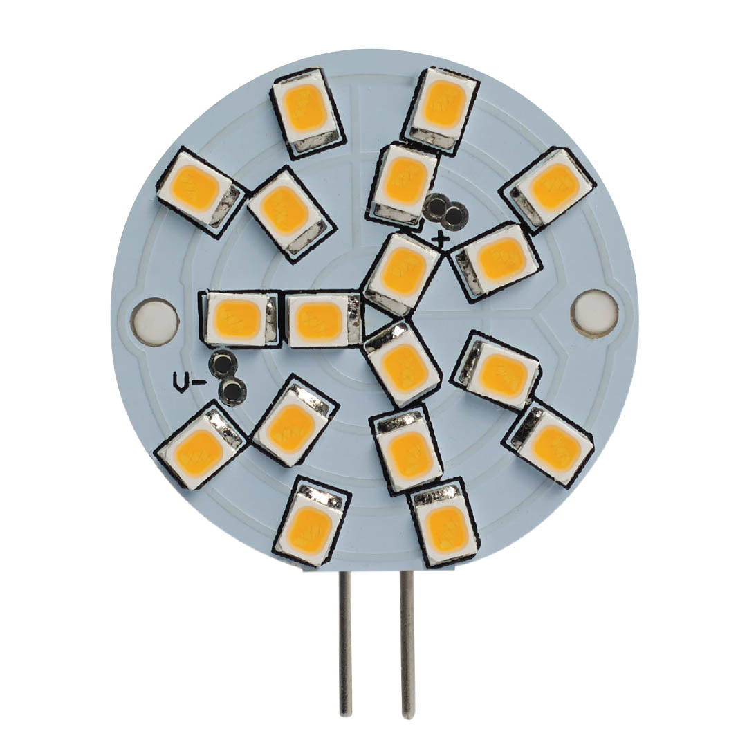 Specialty Light Bulb in Clear