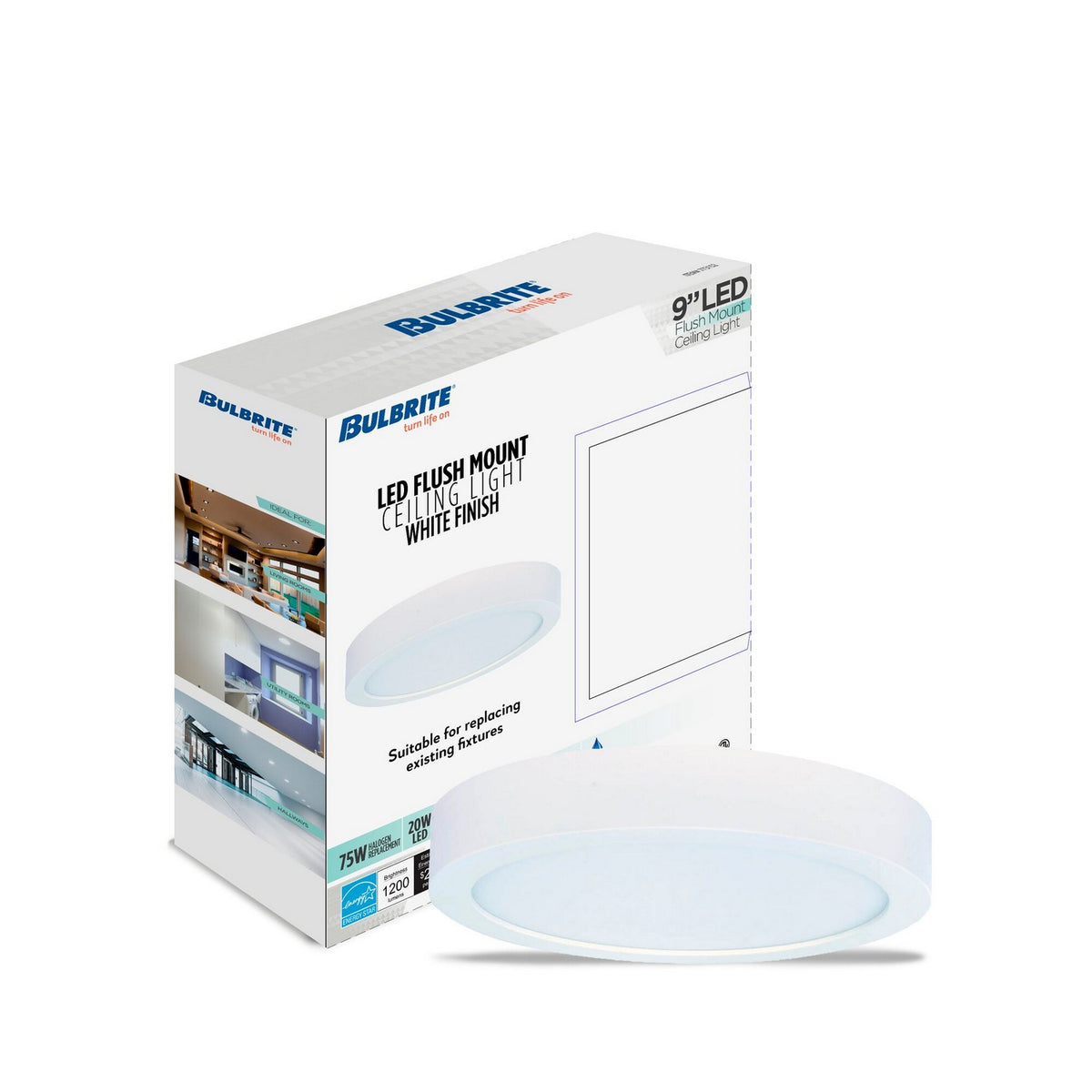 Builder Fixtures LED Flush Mount in White
