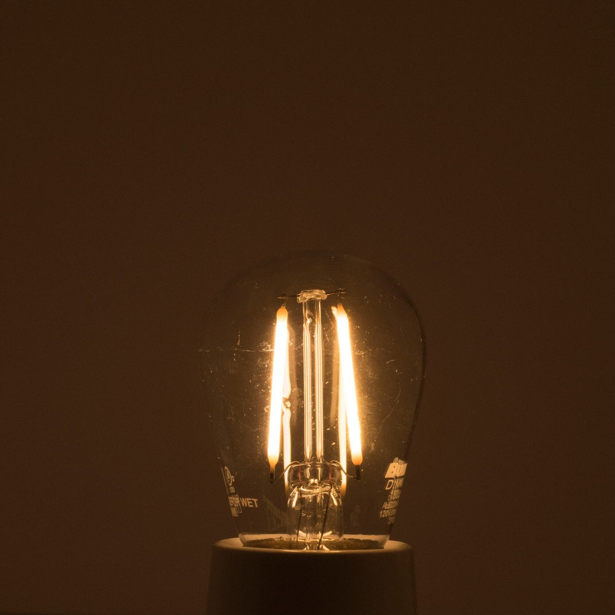 Filaments: Light Bulb in Clear