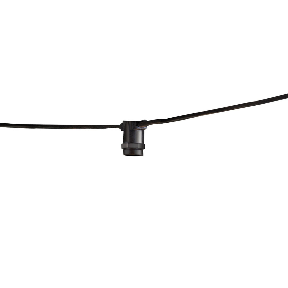 String Light in String Light - Black - Bulbs Not Included