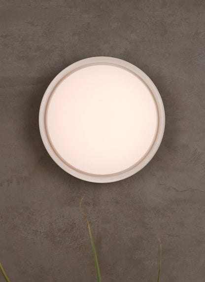 Cirque Large Outdoor Wall/Flush Mount