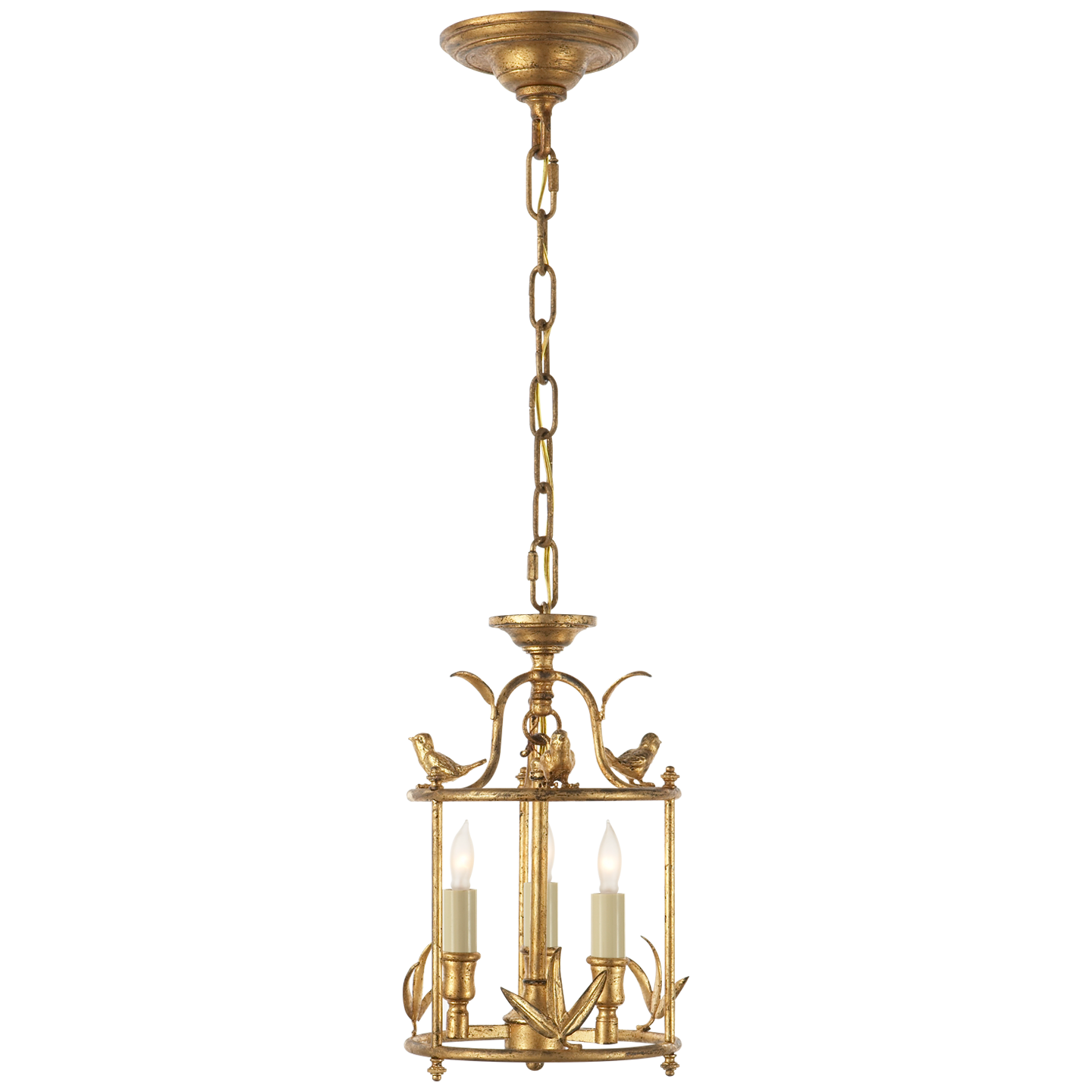 Diego Petite Classical Perching Bird Lantern in Gilded Iron