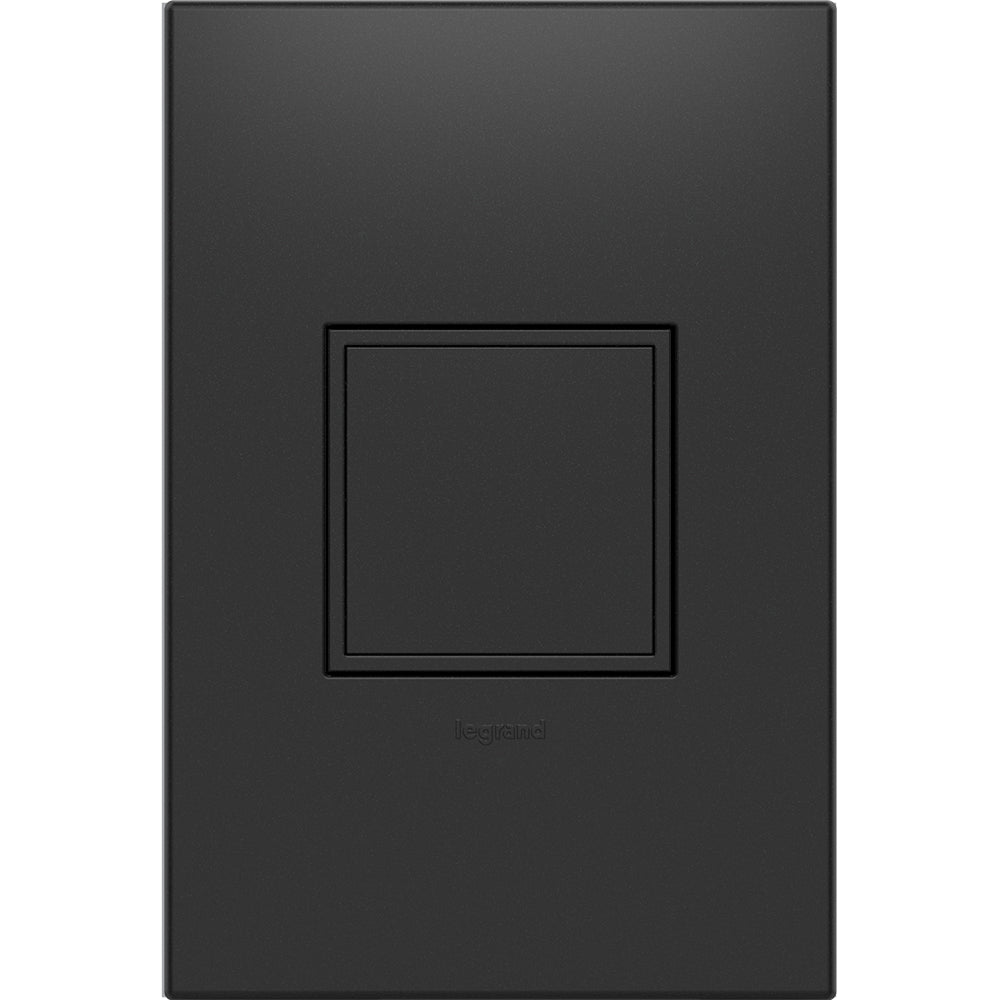 Prise escamotable simple Adorne 15 A