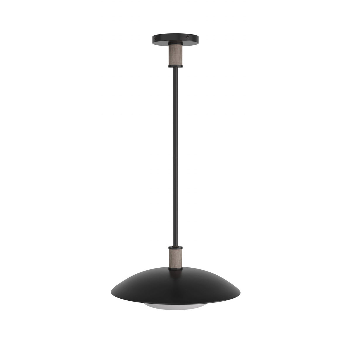 Tobias One Light Pendant in Blackened Iron