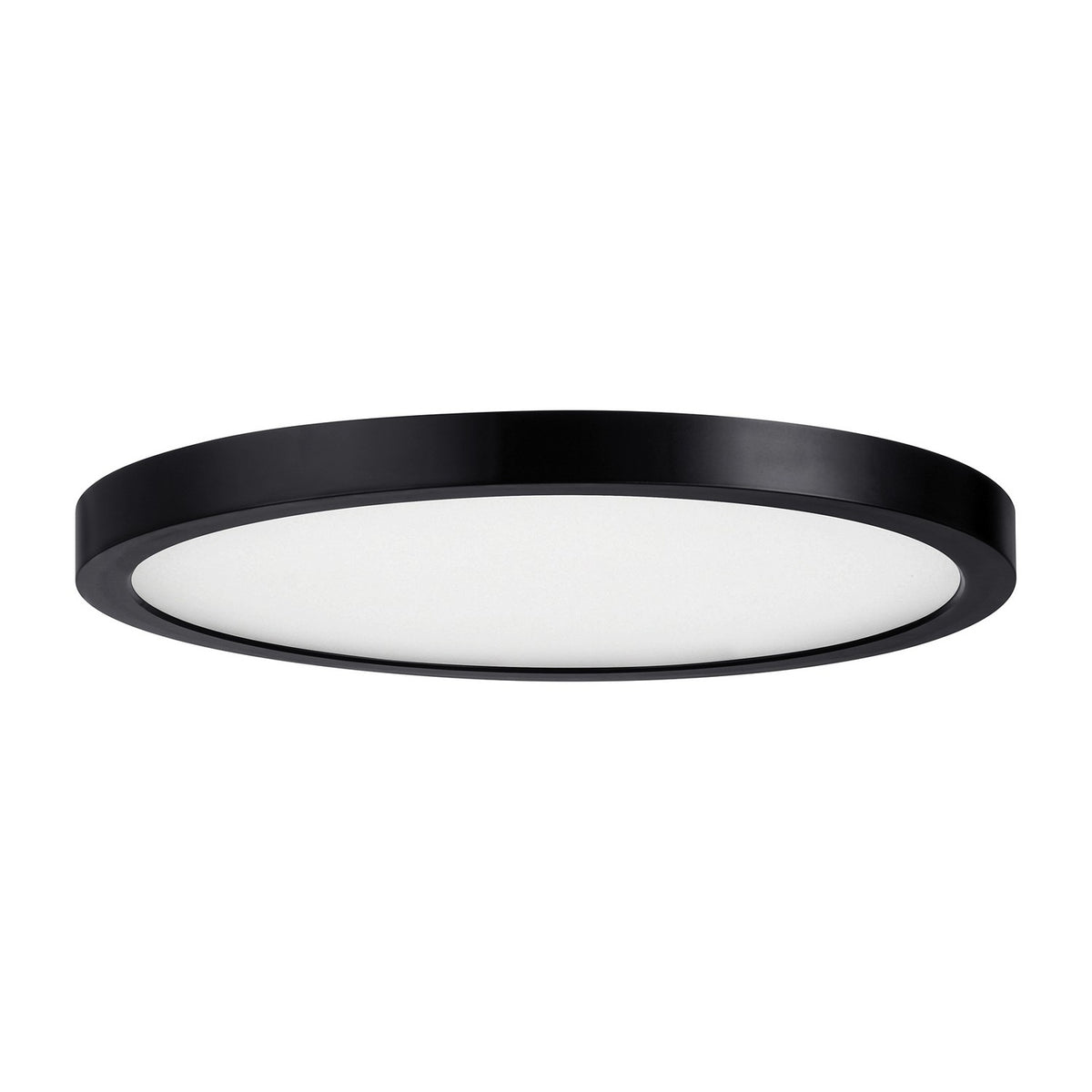 LED Flush Mount