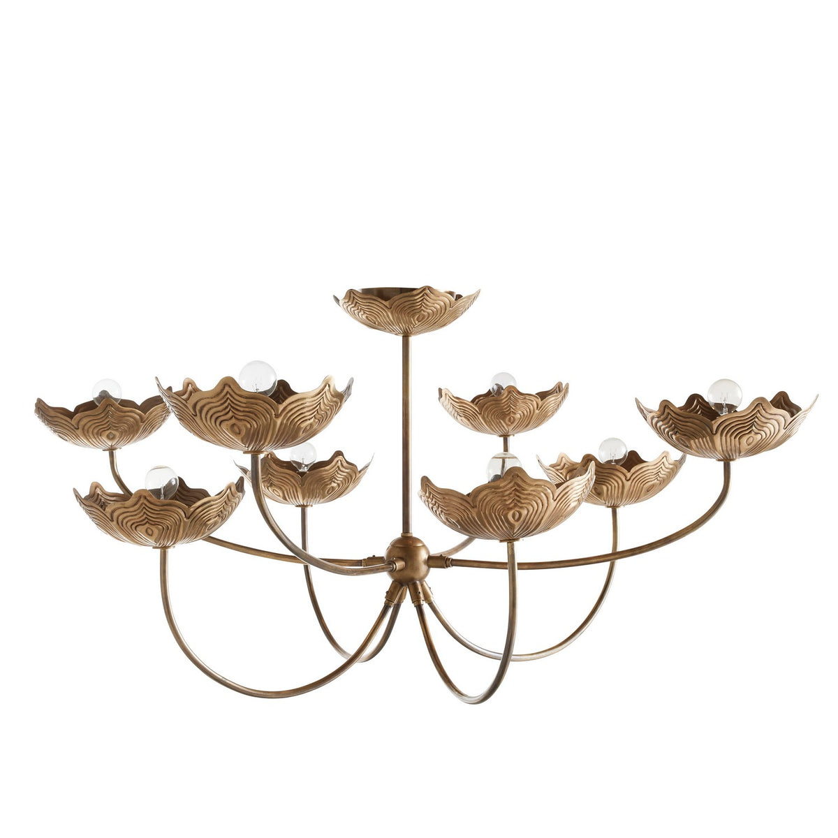 Encinitas Eight Light Chandelier in Antique Brass/Antique Brass