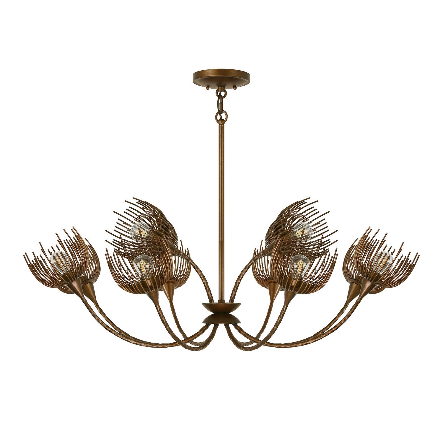 Protea 12 Light Chandelier in Manchester