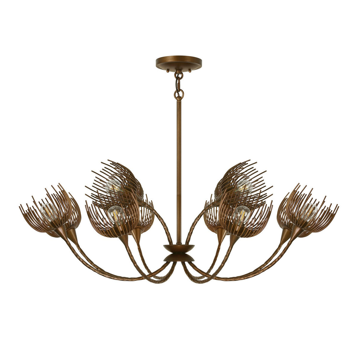 Protea 12 Light Chandelier in Manchester