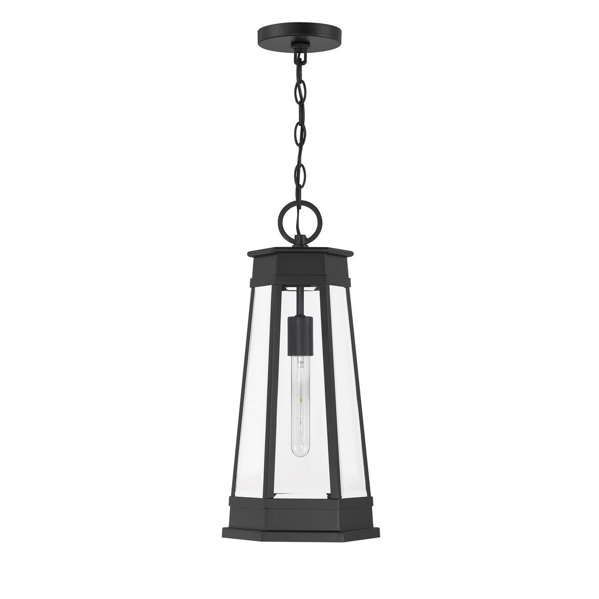 Payne One Light Outdoor Hanging Lantern in Matte Black