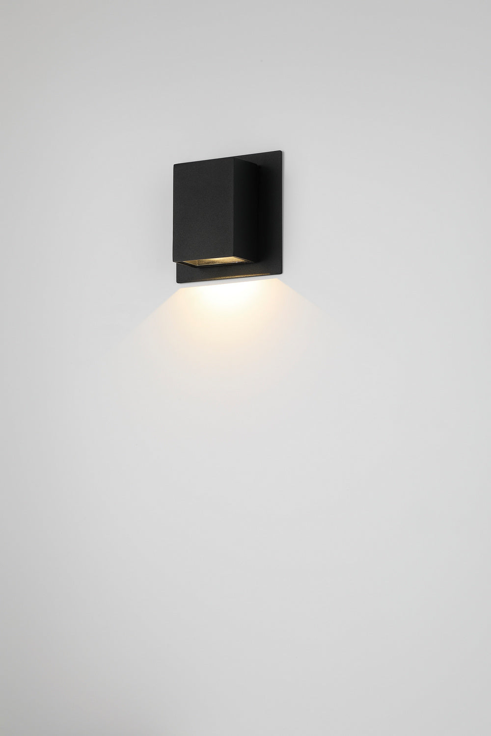 Erebus LED Wall Mount in Black